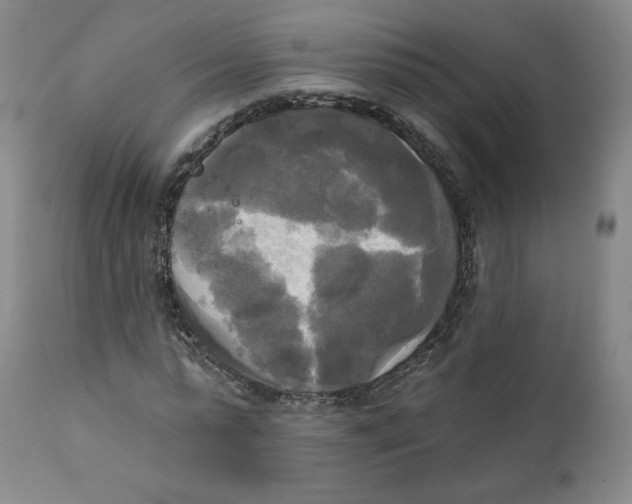 X0000111220775200907231440