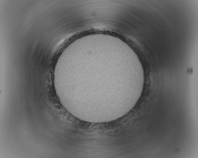X0000111220776200907231440