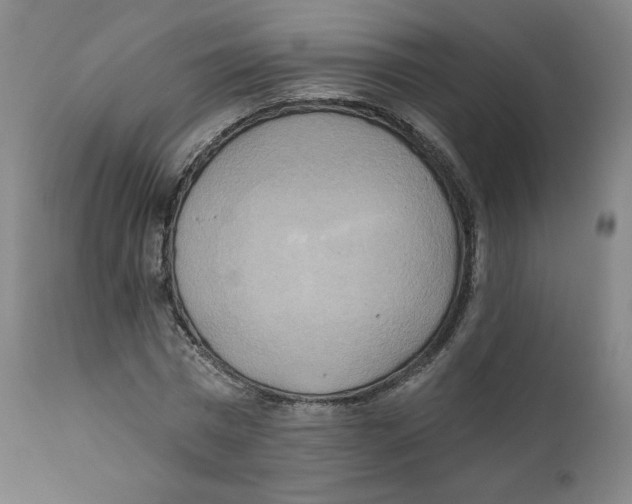 X0000111220777200907231440