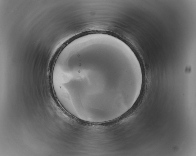 X0000111220779200907231440