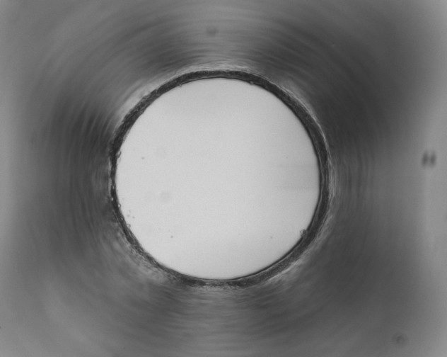X0000111220781200907231440