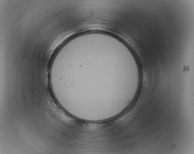 X0000111220782200907231440