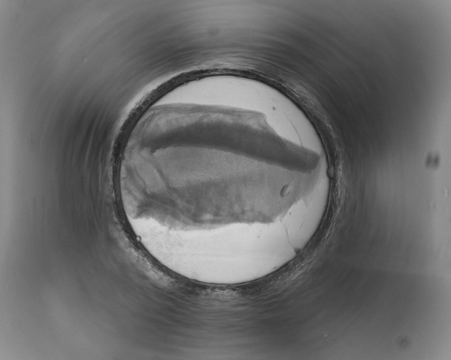 X0000111220784200907231439