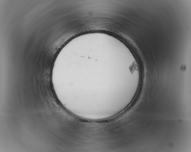 X0000111220785200907231439