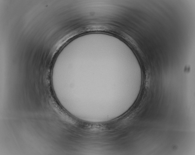 X0000111220786200907231439