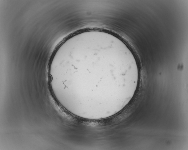 X0000111220791200907231439