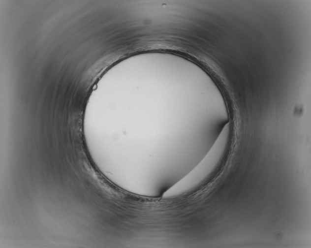 X0000111220793200907231439
