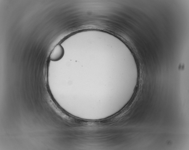 X0000111220796200907231439