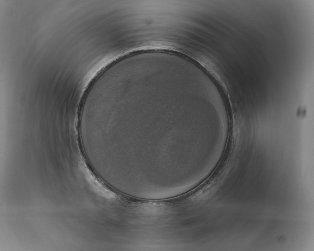 X0000111220797200907231439