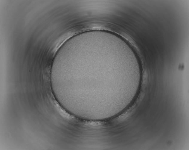 X0000111220801200907231439