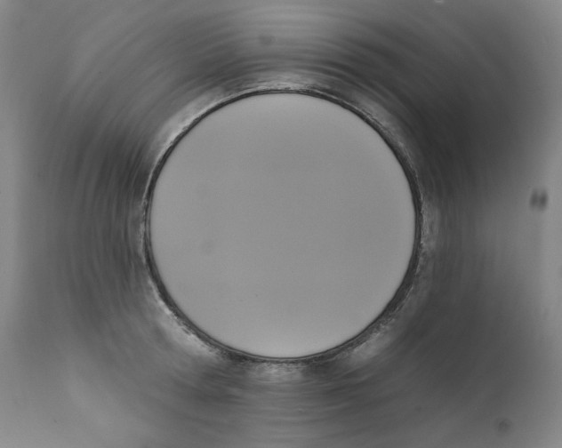 X0000111220802200907231439