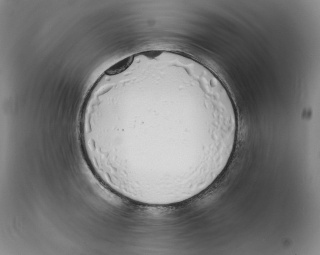X0000111220803200907231439