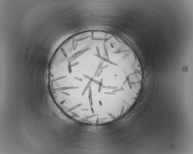 X0000111220804200907231439