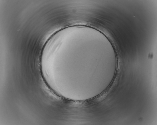 X0000111220806200907231439