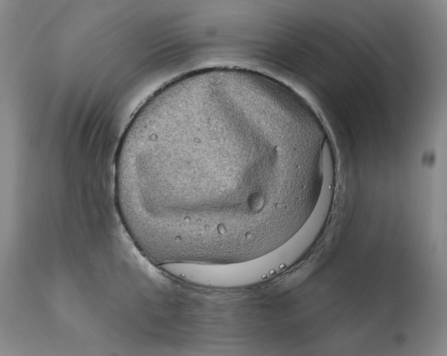 X0000111220807200907231439