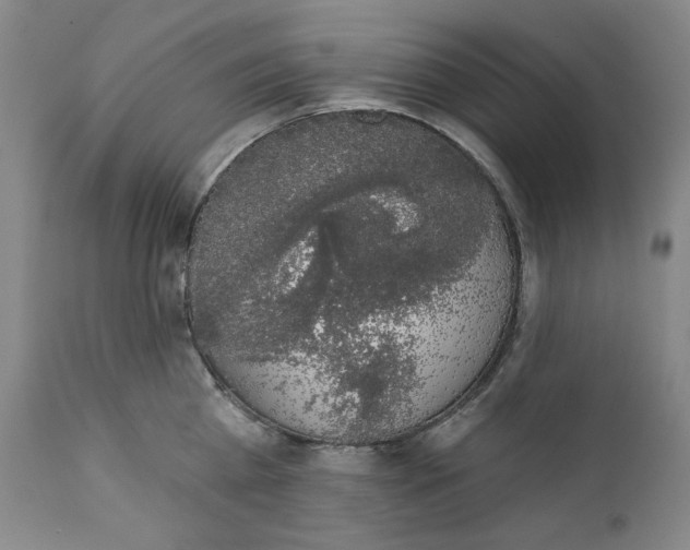 X0000111220809200907231439