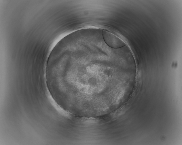 X0000111220811200907231439