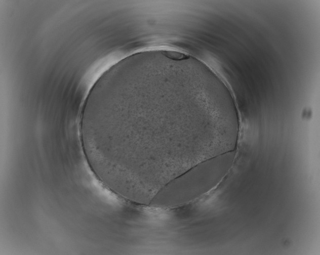 X0000111220813200907231439