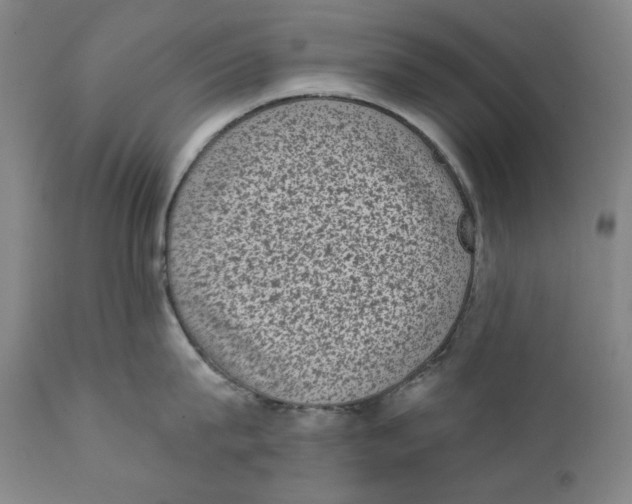 X0000111220815200907231439