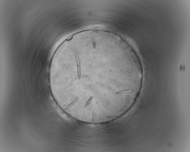 X0000111220816200907231439