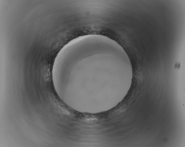 X0000111220818200907231438