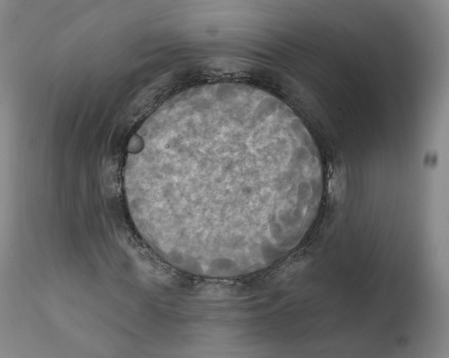 X0000111220819200907231438