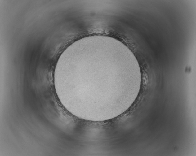 X0000111220820200907231438