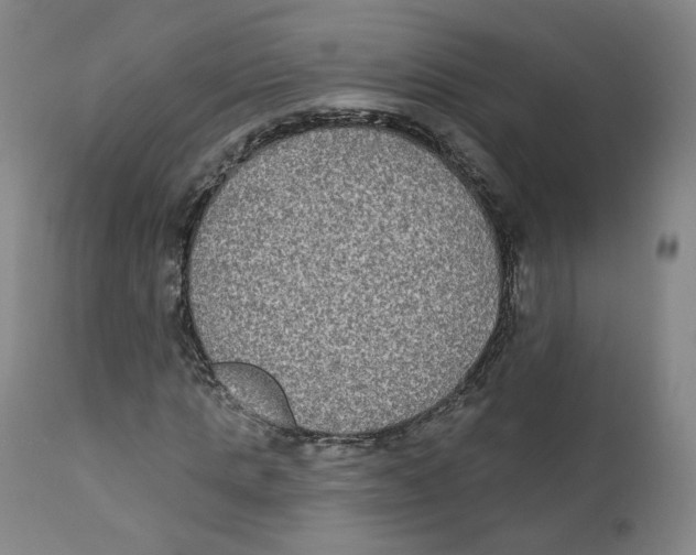 X0000111220821200907231438