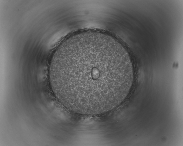 X0000111220824200907231438