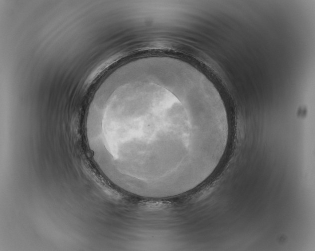 X0000111220826200907231438