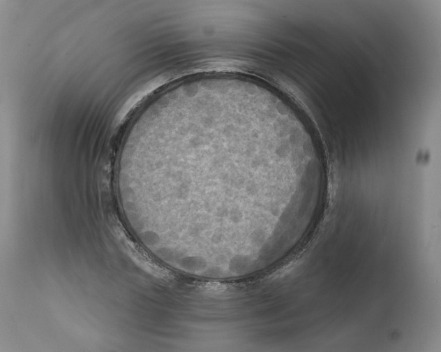 X0000111220827200907231439
