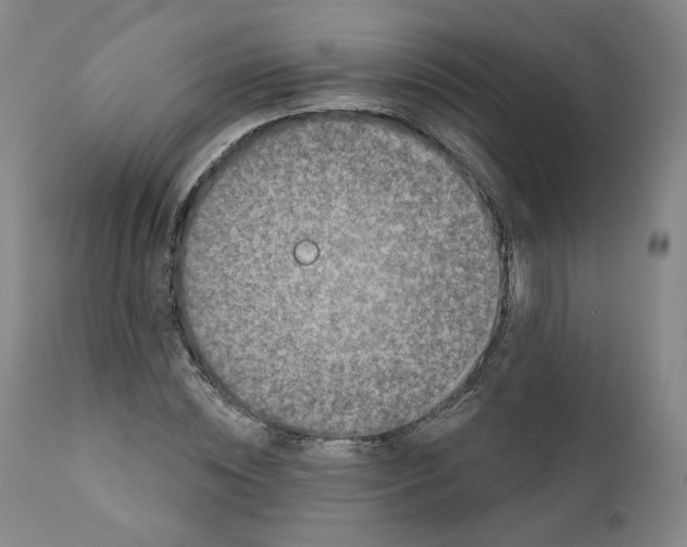 X0000111220828200907231439