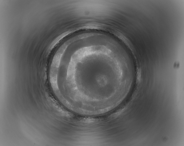 X0000111220829200907231439