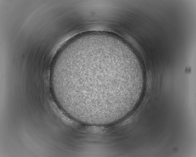 X0000111220831200907231439