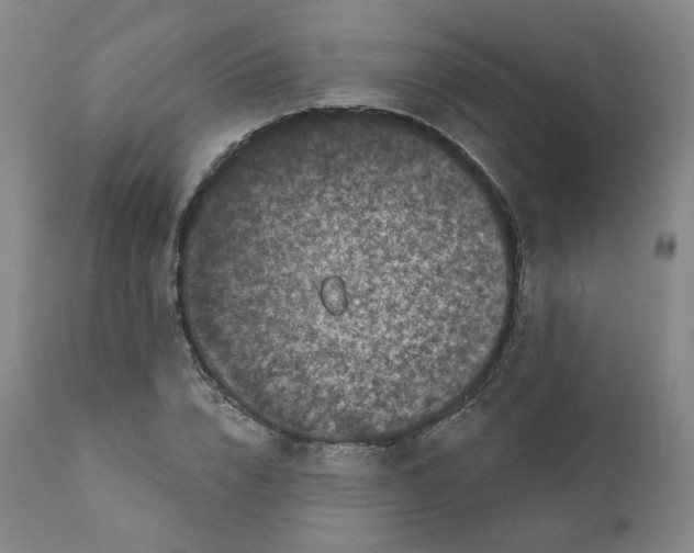 X0000111220832200907231439
