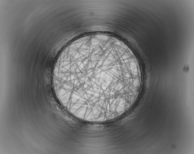 X0000111220833200907231439