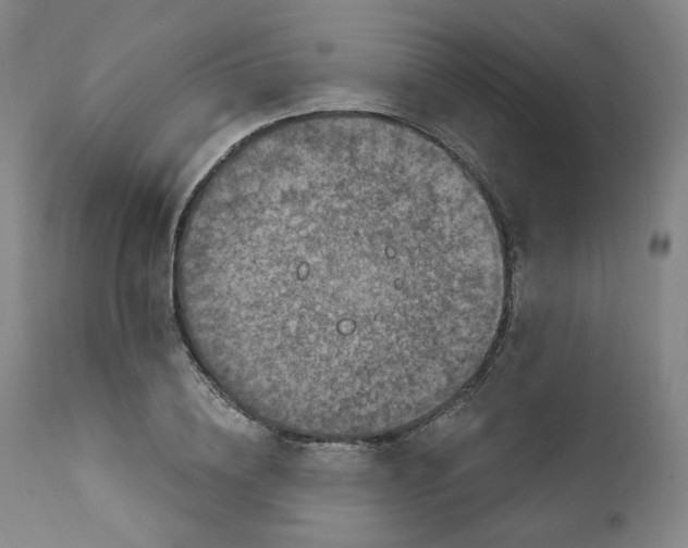 X0000111220836200907231439