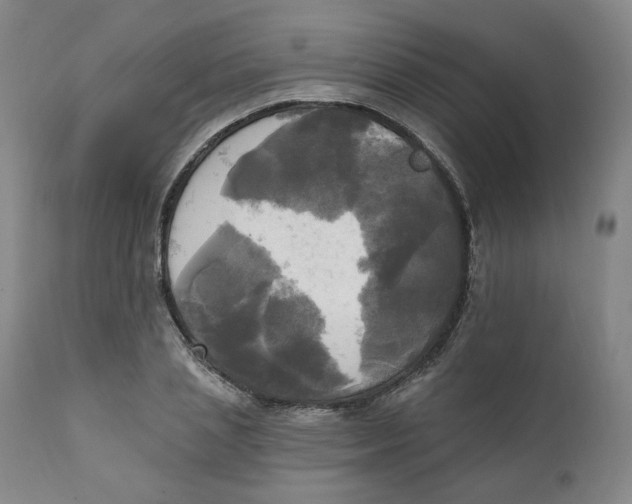 X0000111220837200907231439