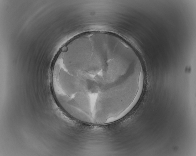 X0000111220839200907231439