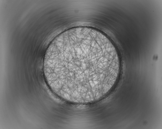 X0000111220841200907231439
