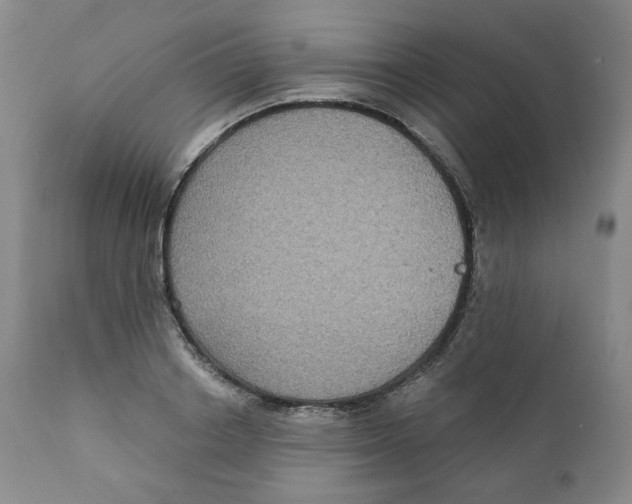 X0000111220842200907231439