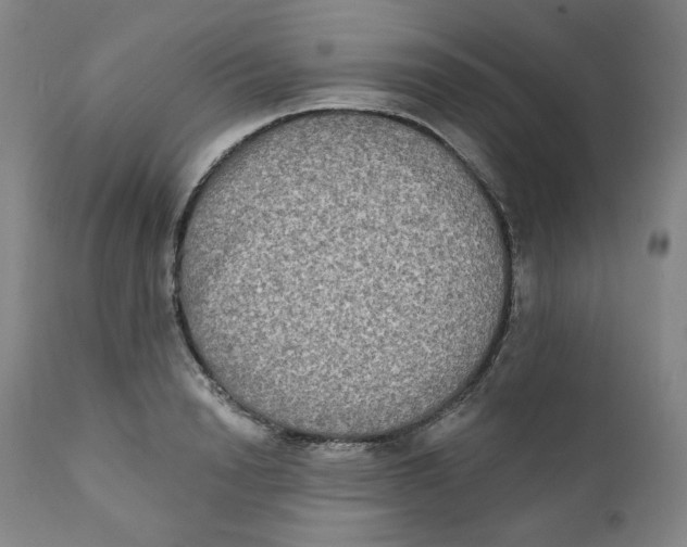 X0000111220846200907231439