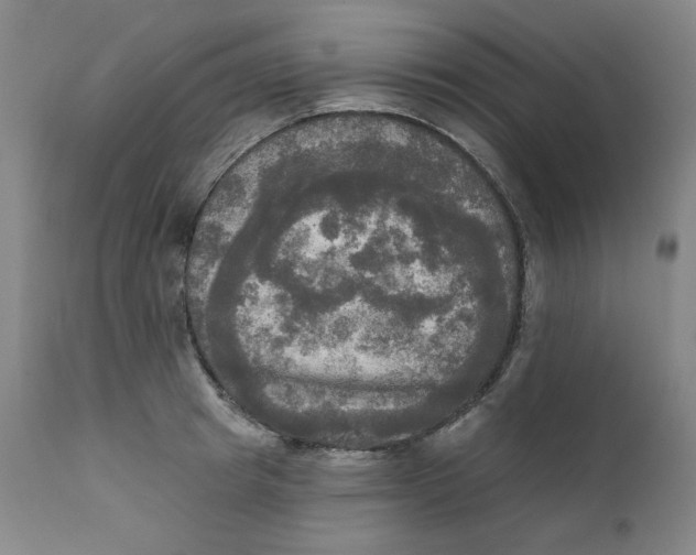 X0000111220849200907231439
