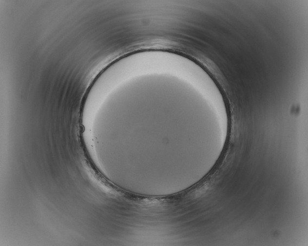 X0000111220850200907231439