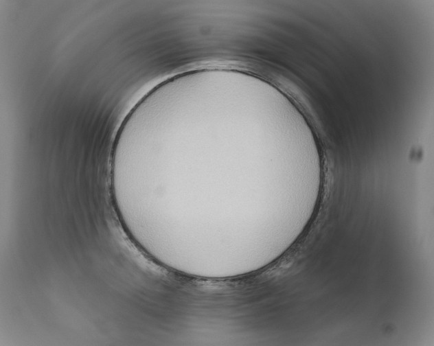 X0000111220852200907231439