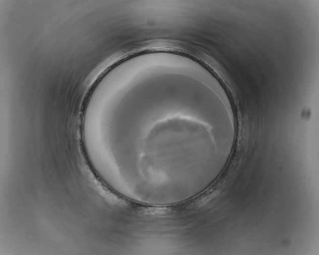 X0000111220853200907231439