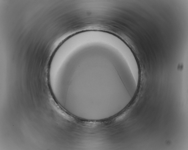 X0000111220854200907231439