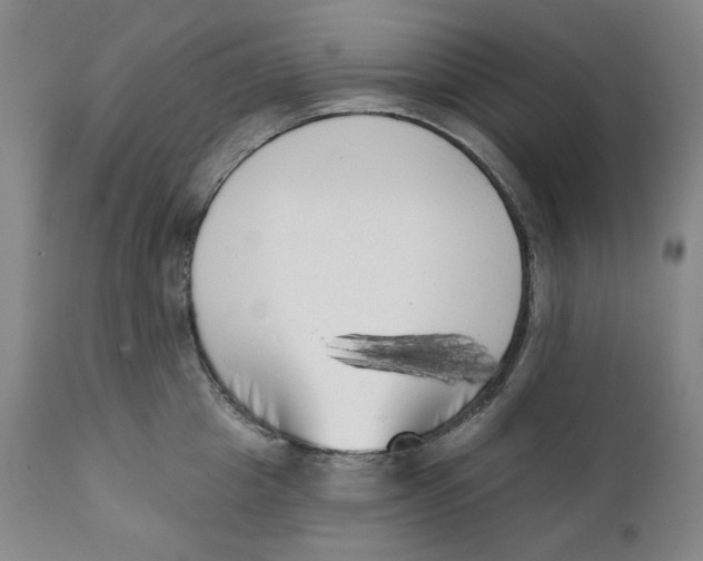 X0000111220857200907231439