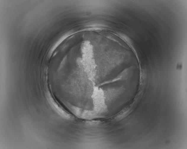 X0000111220859200907231439