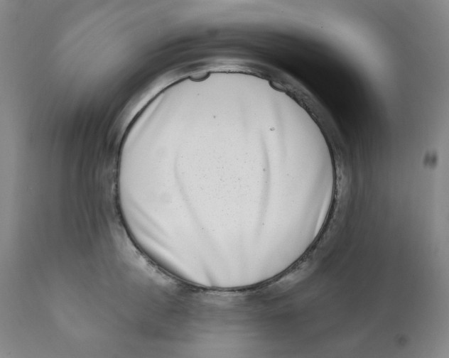 X0000111220860200907231439